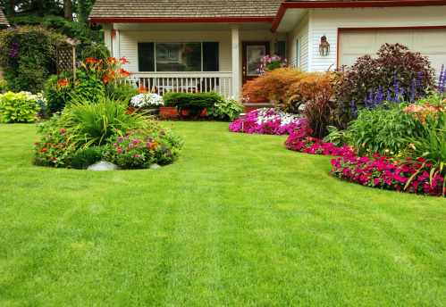 A finely manicured yard showing benefits from lawn fertilization.