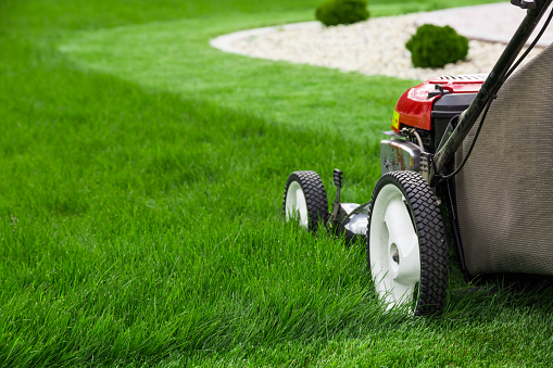 Tips To Remember When Mowing Your Lawn