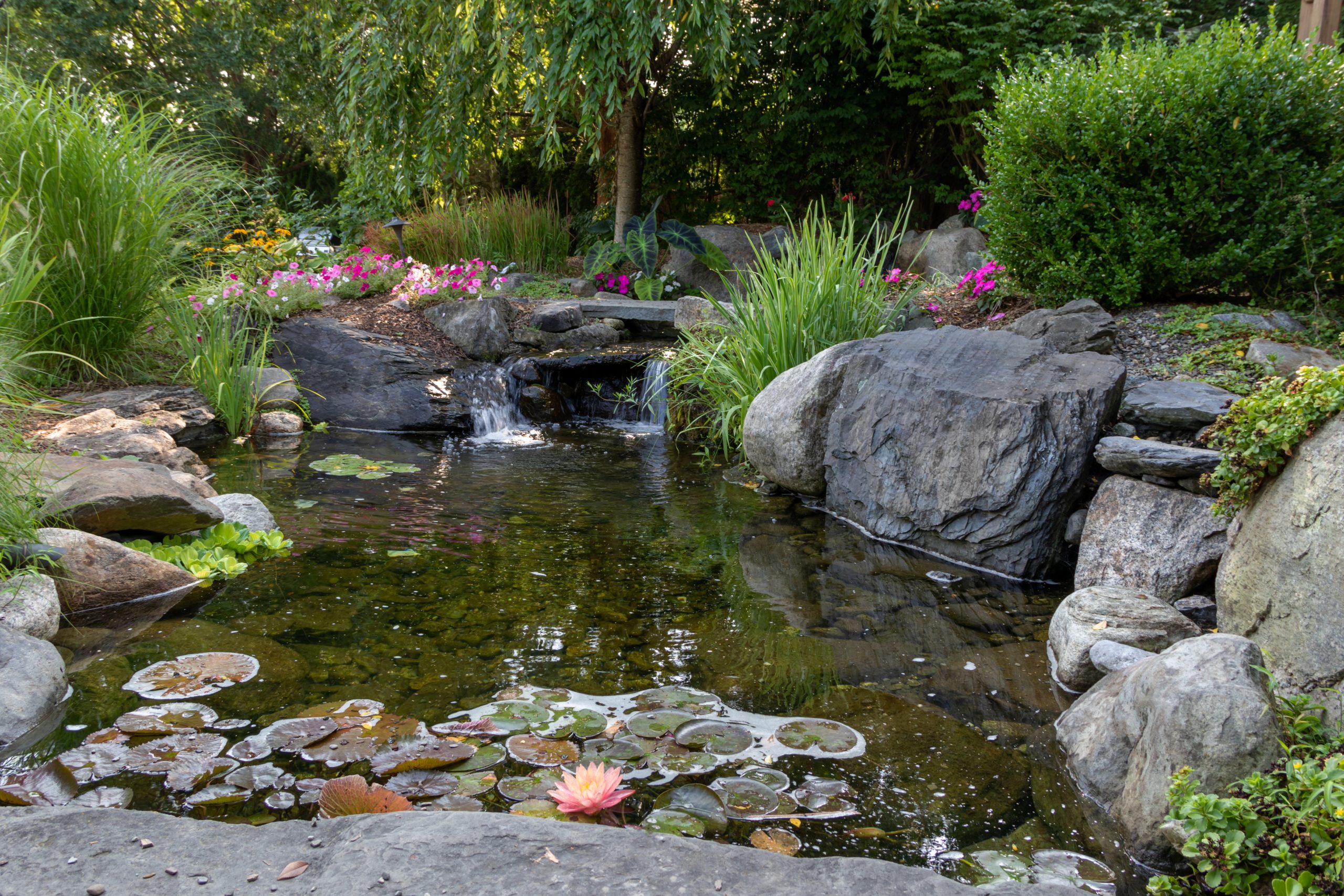 Landscaping service in New Jersey