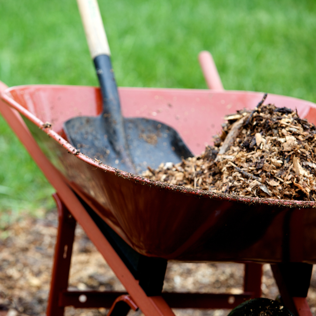 Landscaping service in New Jersey