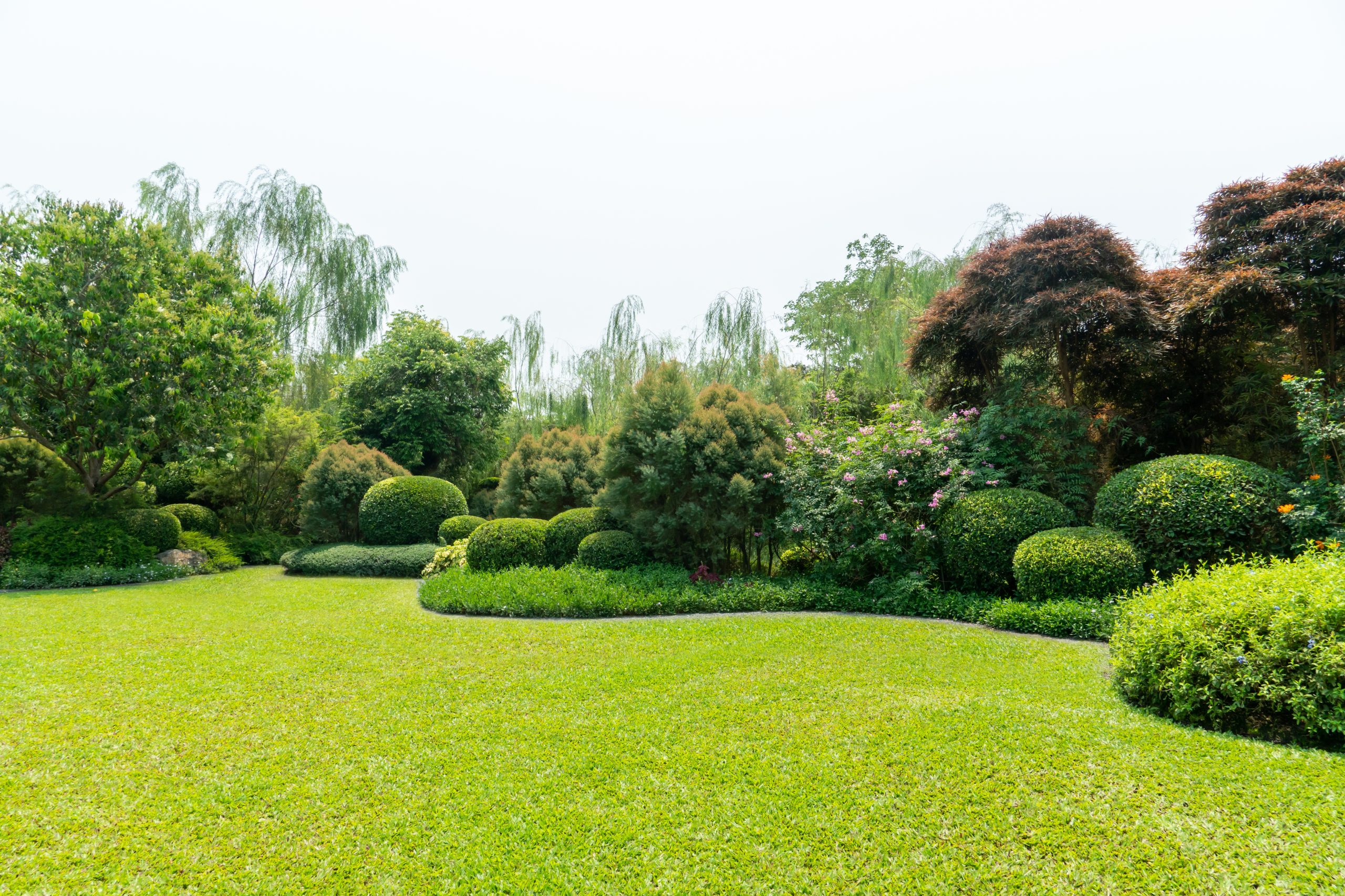 Landscaping service in New Jersey