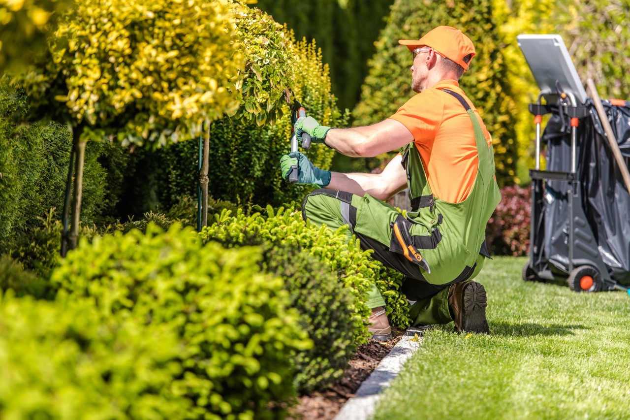 Landscaping service in New Jersey